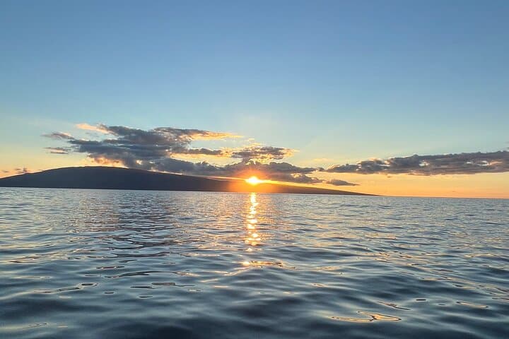 West Maui Sunset Whale Watch: Guaranteed Humpback Encounters & Sunset Cruise photo 4