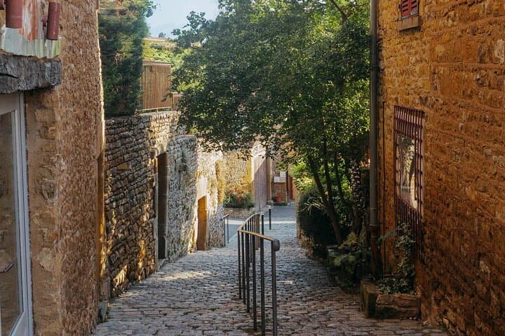 Golden Stones Beaujolais Wine Tour from Lyon — Oingt, Vineyards & Tastings photo 2