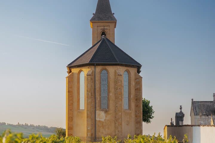 Golden Stones Beaujolais Wine Tour from Lyon — Oingt, Vineyards & Tastings photo 5