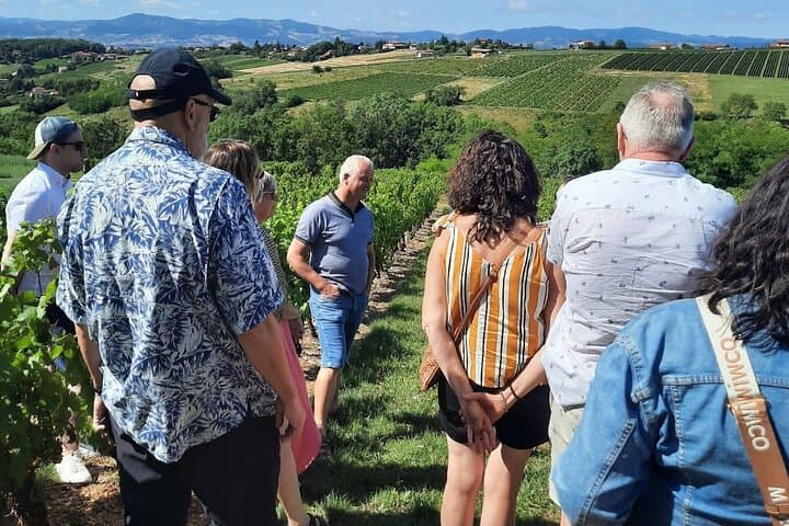 Golden Stones Beaujolais Wine Tour from Lyon — Oingt, Vineyards & Tastings photo 6