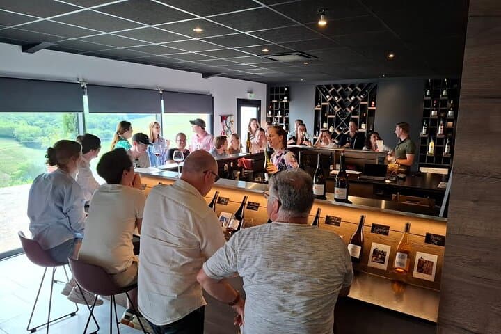 Half-Day Beaujolais Wine Route Private Tour from Lyon — Château de Pizay & Family Cellar Tastings