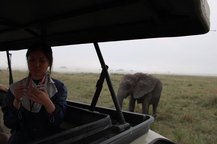 6-Day Serengeti, Ngorongoro & Tarangire Safari Adventure photo 2