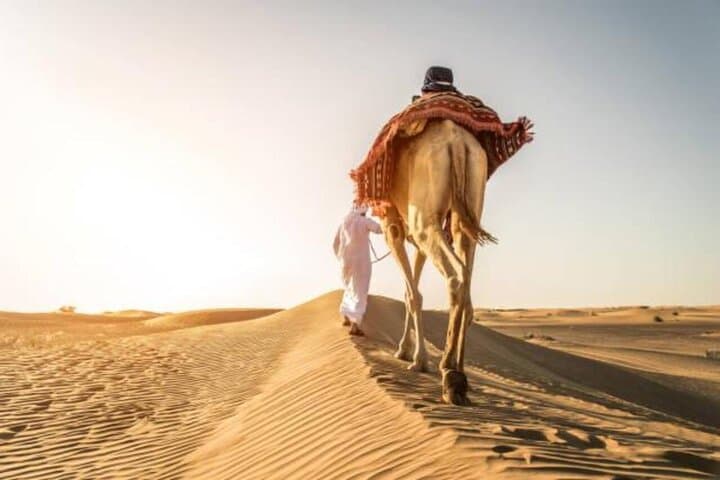 Doha Desert ATV & Buggy Adventure with Camel Ride at Khor Al Adaid photo 5