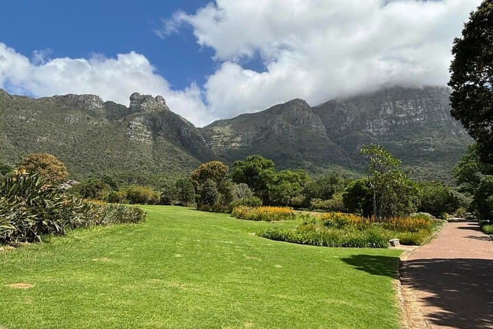 Half-Day Table Mountain & Bo-Kaap Tour — Cable Car, Views & Culture in Cape Town photo 5