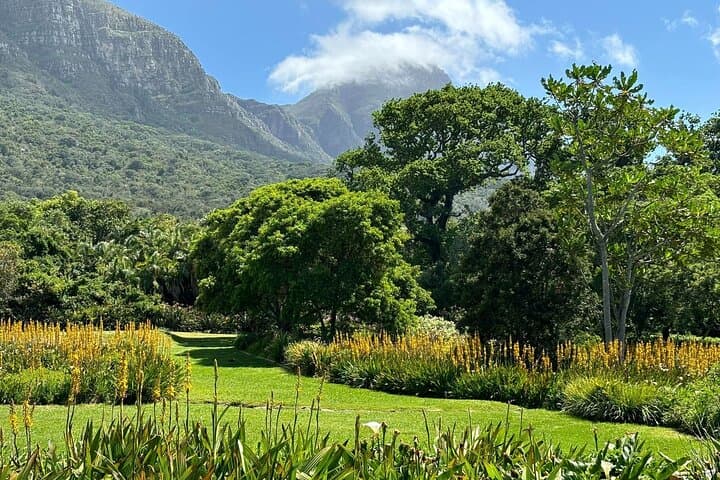 Half-Day Table Mountain & Bo-Kaap Tour — Cable Car, Views & Culture in Cape Town photo 6