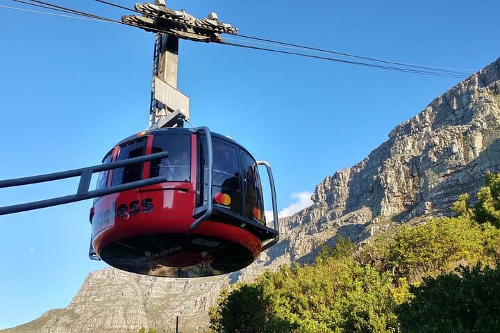 Table Mountain, Boulders Beach & Cape Point Full-Day Tour from Cape Town