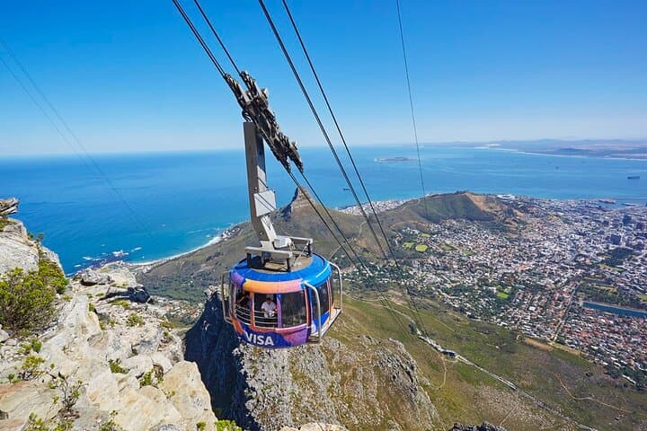Table Mountain, Kirstenbosch & Constantia: Full-Day Private Tour from Cape Town