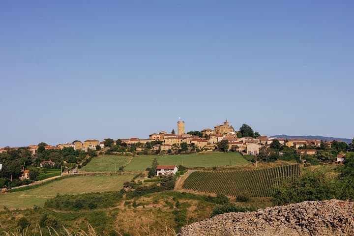 Private Half-Day Golden Stones Beaujolais Wine Tour from Lyon photo 2
