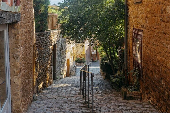 Private Half-Day Golden Stones Beaujolais Wine Tour from Lyon