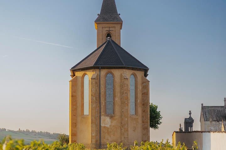 Private Half-Day Golden Stones Beaujolais Wine Tour from Lyon photo 5