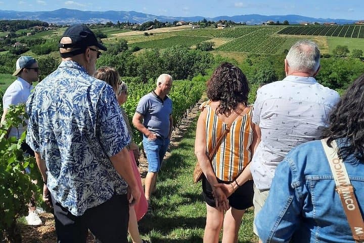 Private Half-Day Golden Stones Beaujolais Wine Tour from Lyon photo 6