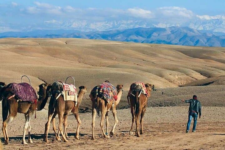 Sunset Camel Ride and Dinner Show in Agafay Desert, Marrakech photo 2