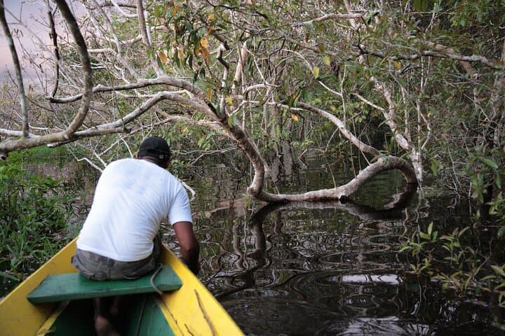 5-Day Jungle Camping Odyssey from Iquitos — Amazon Rainforest Camping & Wildlife photo 4