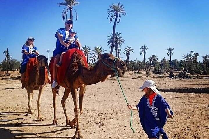 Palmeraie Quad Adventure: ATV & Camel Ride Through Marrakech's Palm Grove photo 6