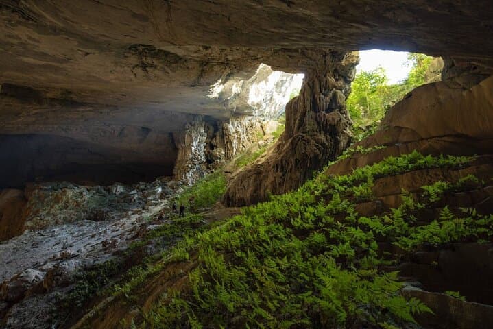 Full-Day Phong Nha Cave Tour from Hanoi: Paradise & Dark Cave Adventure photo 3