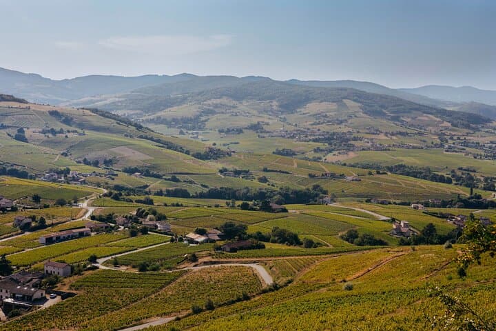 Beaujolais Private Day Tour from Lyon: Tastings in Oingt and the Crus
