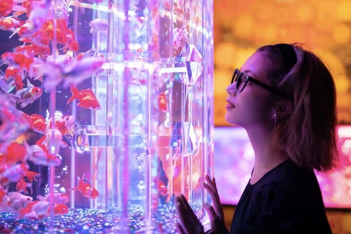 Tokyo Art Aquarium Museum Ginza: Goldfish Light Show & E‑Ticket