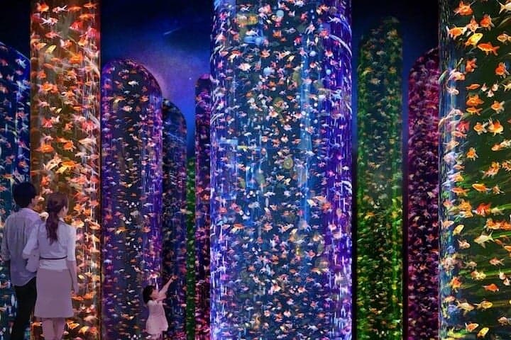 Tokyo Art Aquarium Museum Ginza: Goldfish Light Show & E‑Ticket photo 3