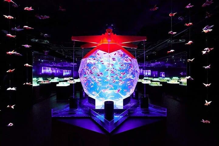 Tokyo Art Aquarium Museum Ginza: Goldfish Light Show & E‑Ticket photo 4