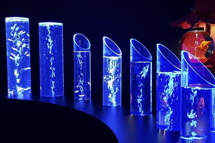 Tokyo Art Aquarium Museum Ginza: Goldfish Light Show & E‑Ticket photo 5