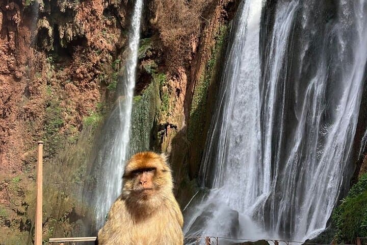 Ouzoud Waterfalls Day Trip from Marrakech: Guided Hike, Boat Ride & Traditional Lunch photo 5