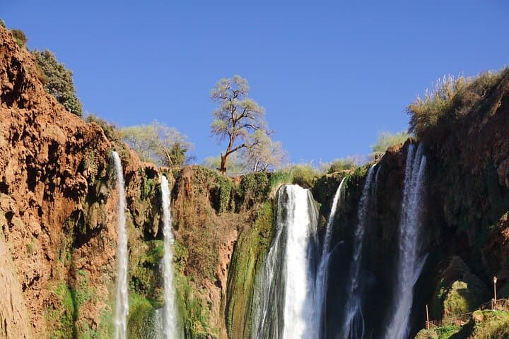 Ouzoud Waterfalls Day Trip from Marrakech: Guided Hike, Boat Ride & Traditional Lunch photo 6