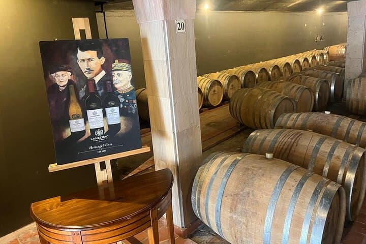 Cape Winelands Wine Tasting in Stellenbosch & Franschhoek: Delaire Graff, Tokara & Grand Provence photo 2