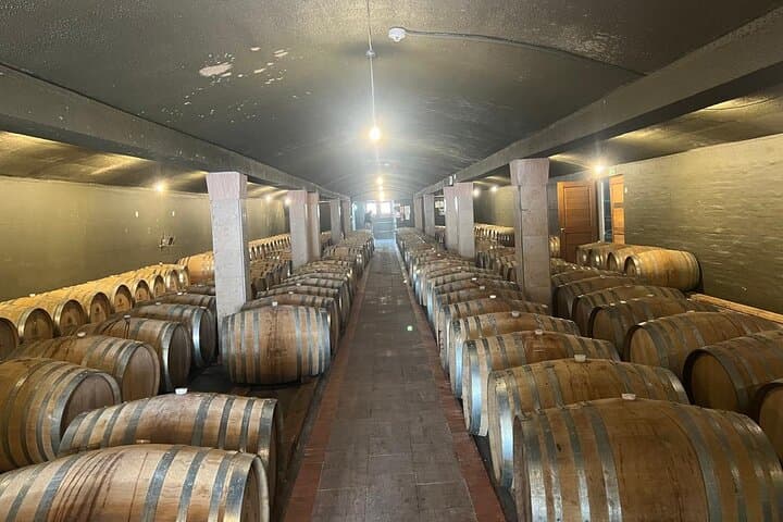 Cape Winelands Wine Tasting in Stellenbosch & Franschhoek: Delaire Graff, Tokara & Grand Provence photo 3