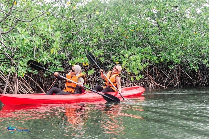 Private Batam Snorkeling, Canoe & Mangrove Adventure from Singapore photo 5