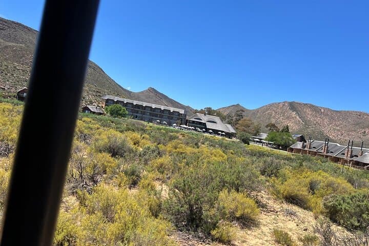 Aquila Game Reserve Full-Day Big Five Safari from Cape Town photo 6