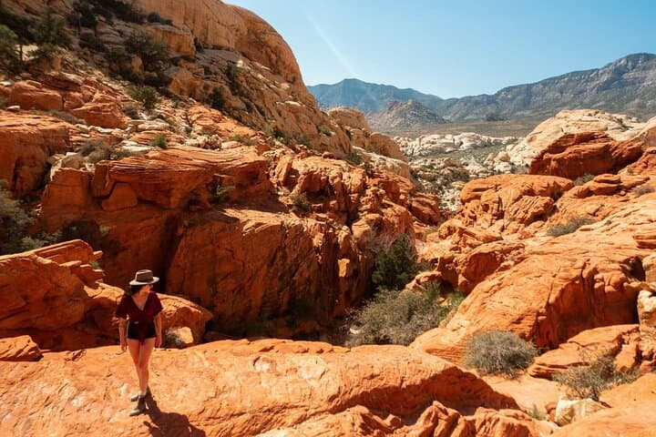 Red Rock Canyon Scenic Loop: Award-Winning Day Tour from Las Vegas photo 3