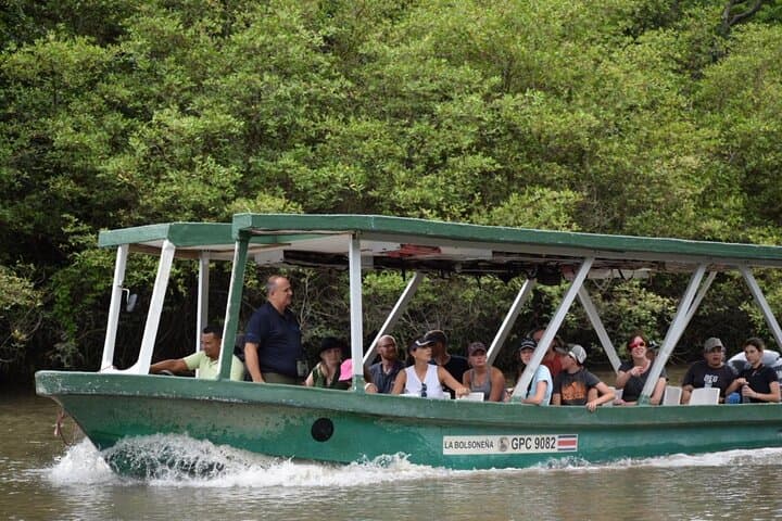 Palo Verde National Park Boat Tour: Tempisque River Wildlife Cruise from Playa Flamingo
