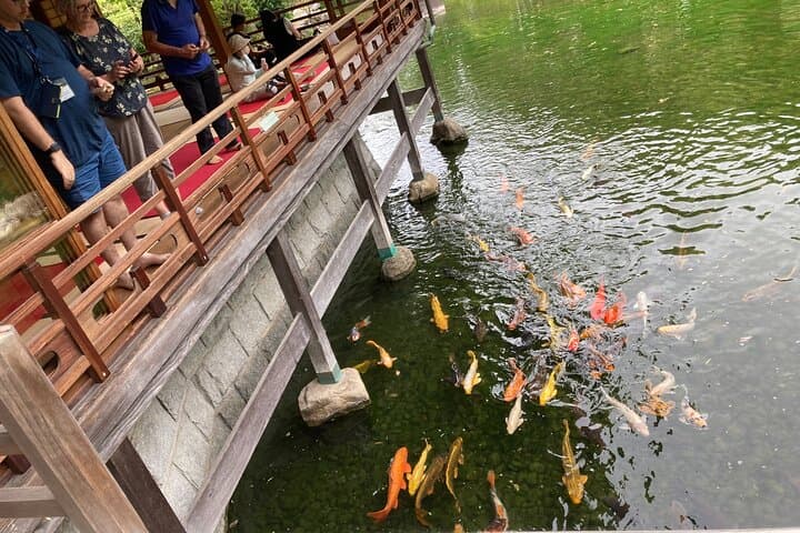 Insider Guide: Fukuoka City Walking and Public Transport Tour photo 5