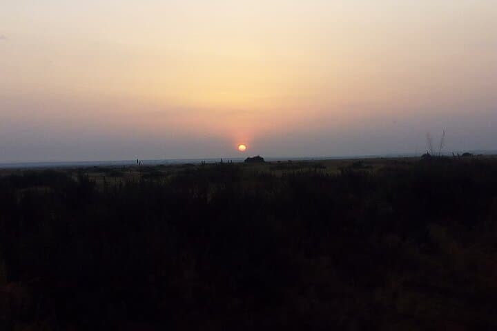 Lake Naivasha Day Trip from Nairobi: Boat Safari, Crescent Island Walk & Wildlife photo 4