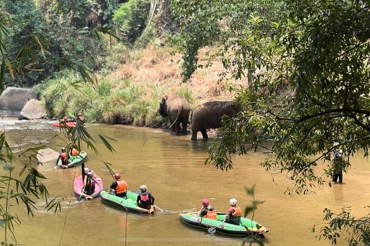 Mae Taeng Whitewater Rafting: Family-Friendly Grade 2–4 Adventure Near Chiang Mai photo 3