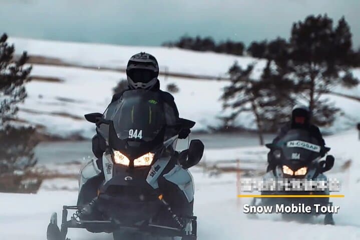 Guided Snowmobile Tour Near Fairbanks: Short Ride Under the Aurora photo 6