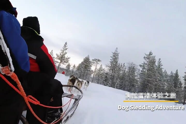 3-Day Northern Lights Tour from Whitehorse, Yukon — Aurora Viewing & Winter Activities photo 6