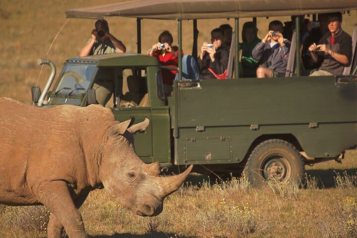 Half-Day Schotia Game Reserve Safari — Open 4x4 Big Five Game Drive photo 5