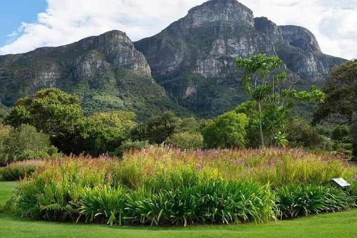 Table Mountain Cable Car & Kirstenbosch Garden Tour — Cape Town Nature Day Trip photo 3