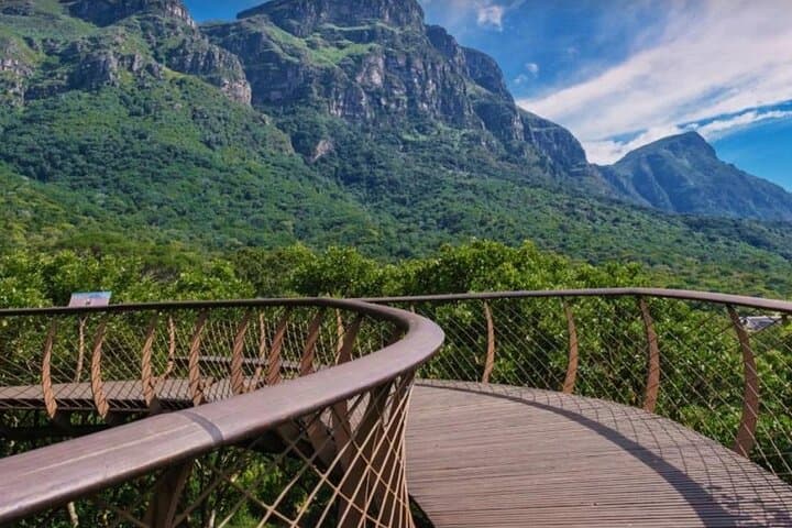 Kirstenbosch Gardens and Constantia Wine Tasting: A Full-Day Cape Town Nature and Wine Tour photo 5