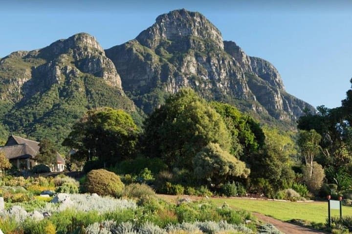 Table Mountain Cable Car & Kirstenbosch Garden Tour — Cape Town Nature Day Trip photo 2