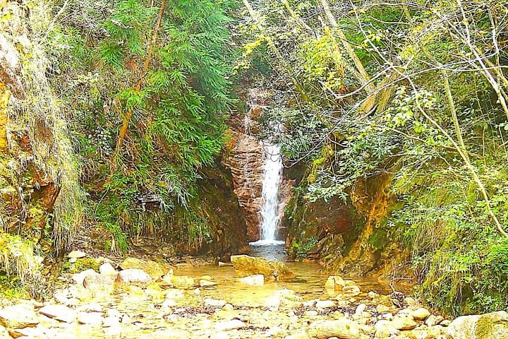 Historic Arima Healing Forest Hike — Private Road Walk from Onsen to Zuihouji Park photo 1