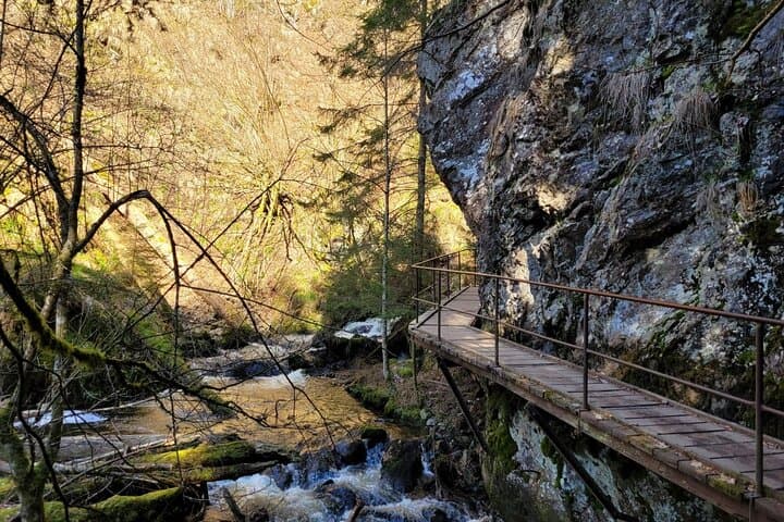 Ravenna Gorge Self-Guided Hike — Waterfalls, Mills & Viaduct Views in the Black Forest photo 3