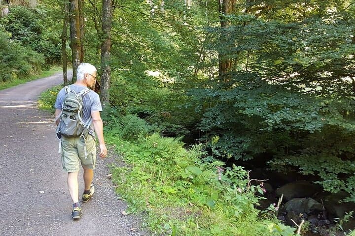 Ravenna Gorge Self-Guided Hike — Waterfalls, Mills & Viaduct Views in the Black Forest photo 5