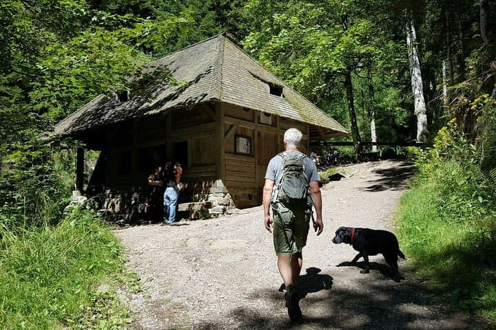 Ravenna Gorge Self-Guided Hike — Waterfalls, Mills & Viaduct Views in the Black Forest photo 6