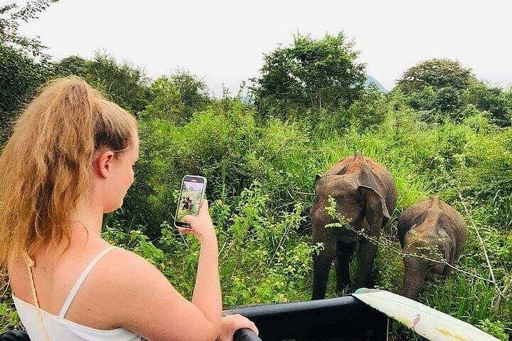 Wild Elephant Safari from Colombo — Minneriya & Hurulu Private 4x4 Tour photo 3