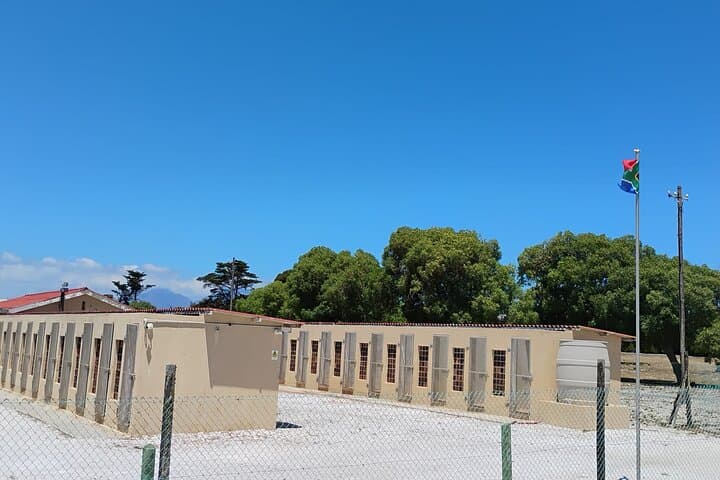 Robben Island Half-Day Ferry Tour: History, Wildlife & Practical Tips