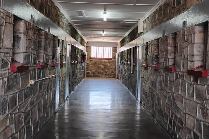 Robben Island Half-Day Ferry Tour: History, Wildlife & Practical Tips photo 4