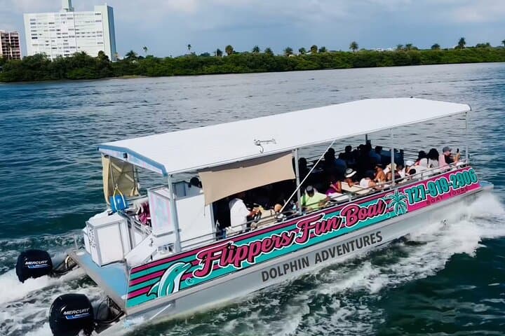 Clearwater Beach Dolphin Adventure Cruise — Flippers Fun Boat Tours photo 2