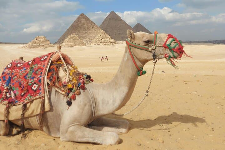 Complete Giza Adventure: Pyramids, Camel Ride, Desert ATV & Nile Dinner Cruise